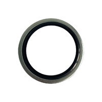 SEAL WASHER