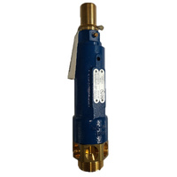 SAFETY VALVE