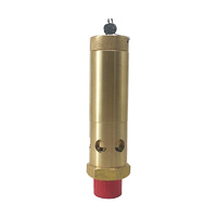 SAFETY VALVE