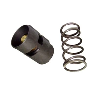 100010134 Thermostat