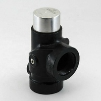 100011542 Minimum Pressure Valve for Compair Compressor MPV G50 100005403