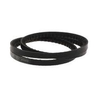 10166 Renner Belt