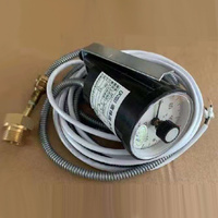 TEMPERATURE SWITCH
