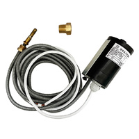 TEMPERATURE SWITCH