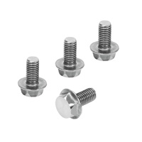 FESTO DAMD-PS-M10-16-R1 Plug screw 1355026