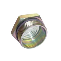 SIGHT GLASS