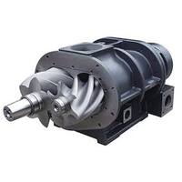 1616 7281 80 Atlas Copco Element Airend Original