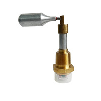 ASSEMBLY PLUG