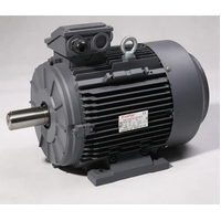 Atlas Copco OEM 1637000214 Motor