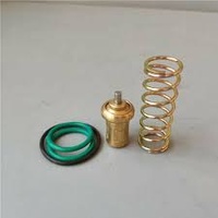 2205 4905 90 Thermostatic Valve
