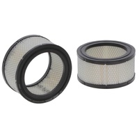 Bottarini Air Filter 220868 Replacement