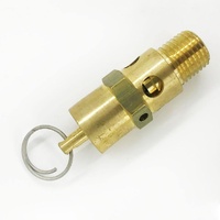 22431761 Safety Valve Suitable for Ingersoll Rand Air Compressor