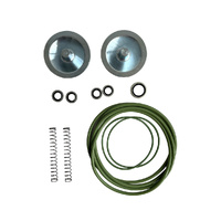 CHECK VALVE KIT.