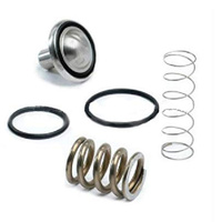 37956075 Minimum Pressure Check Valve Kit for Ingersoll Rand Compressor