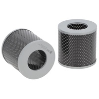 532121863 BUSCH Replacement
