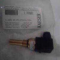 7.7035E1 Kaeser Temperature Probe