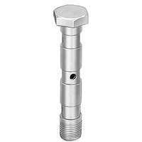VT-1/4-3-1/4 Hollow bolt