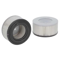 SA19673 Air Filter