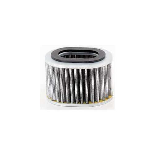 CPA 125460 Air Filter - Air Compressor